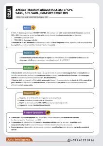 Ibrahim Ahmad ISSAOUI c/ SPC SARL, SPK SARL, GHASBY CORP BVI