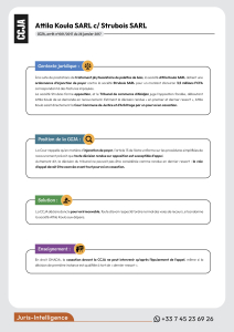 Attila Koula SARL c/ Strubois SARL
