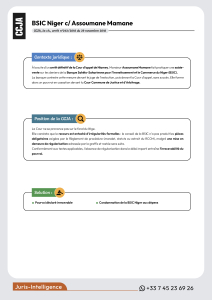 BSIC Niger c/ Assoumane Mamane